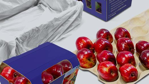 Visy Specialties - Fruit and produce packaging