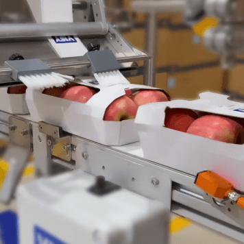 Red apples in a white cardboard Enviropunnet are being sealed by a machine with boxes in the background